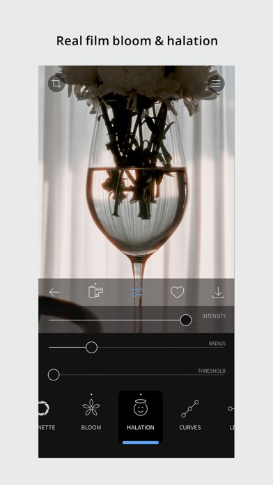 RNI Films: Photo & RAW Editor screenshot 3