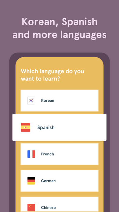Bunpo: Language Learning screenshot 4
