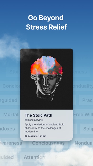 Waking Up: Meditation & Wisdom screenshot 4