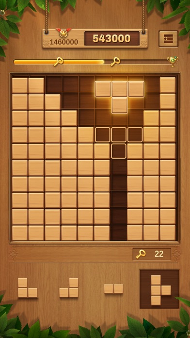 Wood Block Puzzle Games screenshot 6