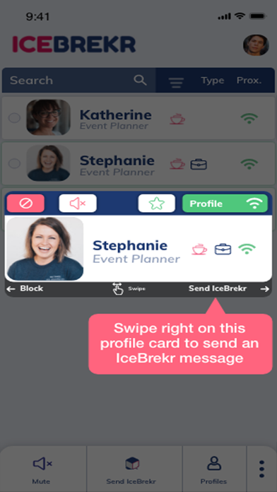 IceBrekr screenshot 3