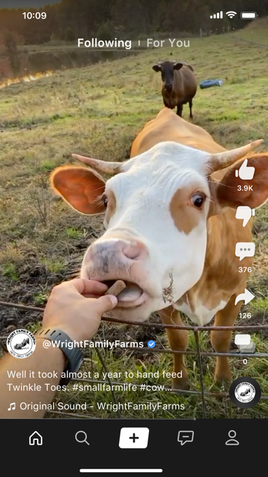 Clapper: Video, Live, Chat screenshot 3