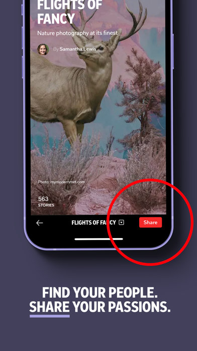 Flipboard: The Social Magazine screenshot 5