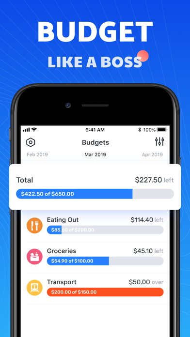 Pocket Expense 6 screenshot 4
