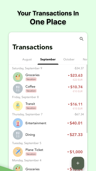 Cashew - Expense Budget Tracker screenshot 4